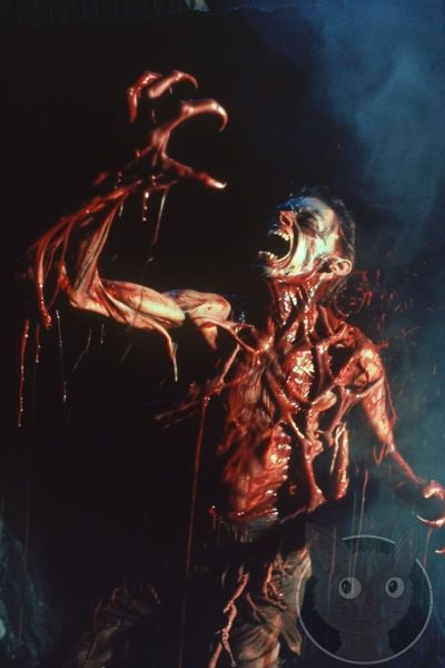 Demons-70