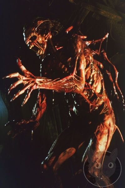 Demons-8