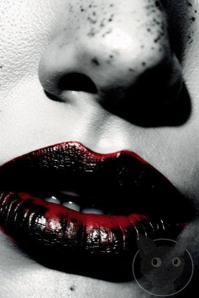 1_Lallen_Design_Double_Feature-96