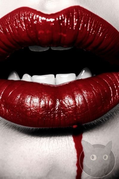 Lallen_Design_Double_Feature-40