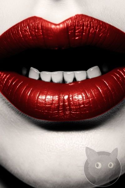 Lallen_Design_Double_Feature-49