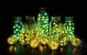 Magical-Bottle-Collection-35