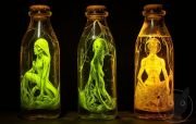 Magical-Bottle-Collection-60