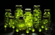Magical-Bottle-Collection-61