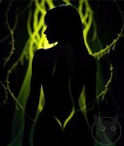 Silhouettes-are-Beautiful-22