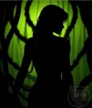 Silhouettes-are-Beautiful-31