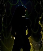 Silhouettes-are-Beautiful-32