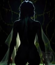 Silhouettes-are-Beautiful-34