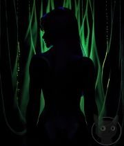 Silhouettes-are-Beautiful-50