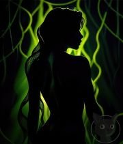 Silhouettes-are-Beautiful-51