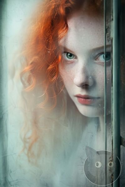 Through-the-glass-62