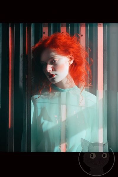 Through-the-glass-86